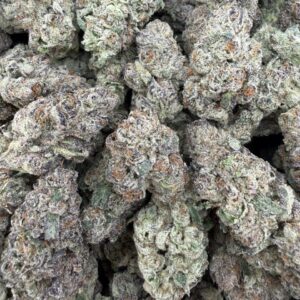 Cyber Gasleak - Indoor